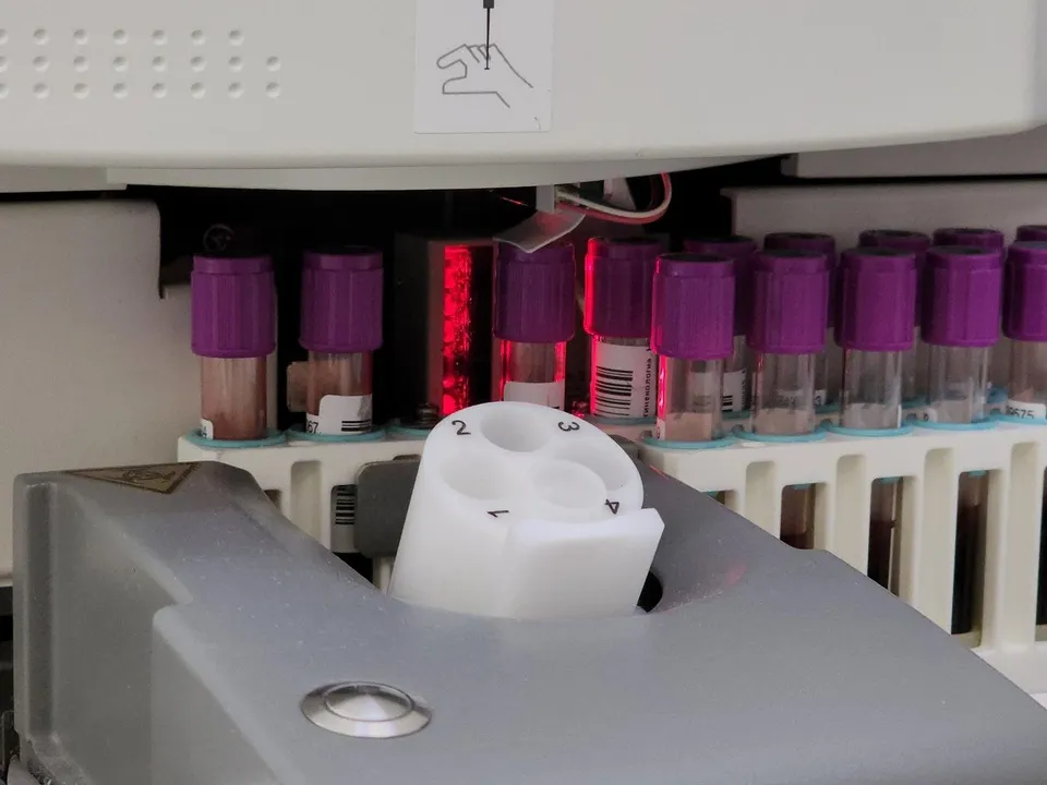 Фото: Иван Дубров