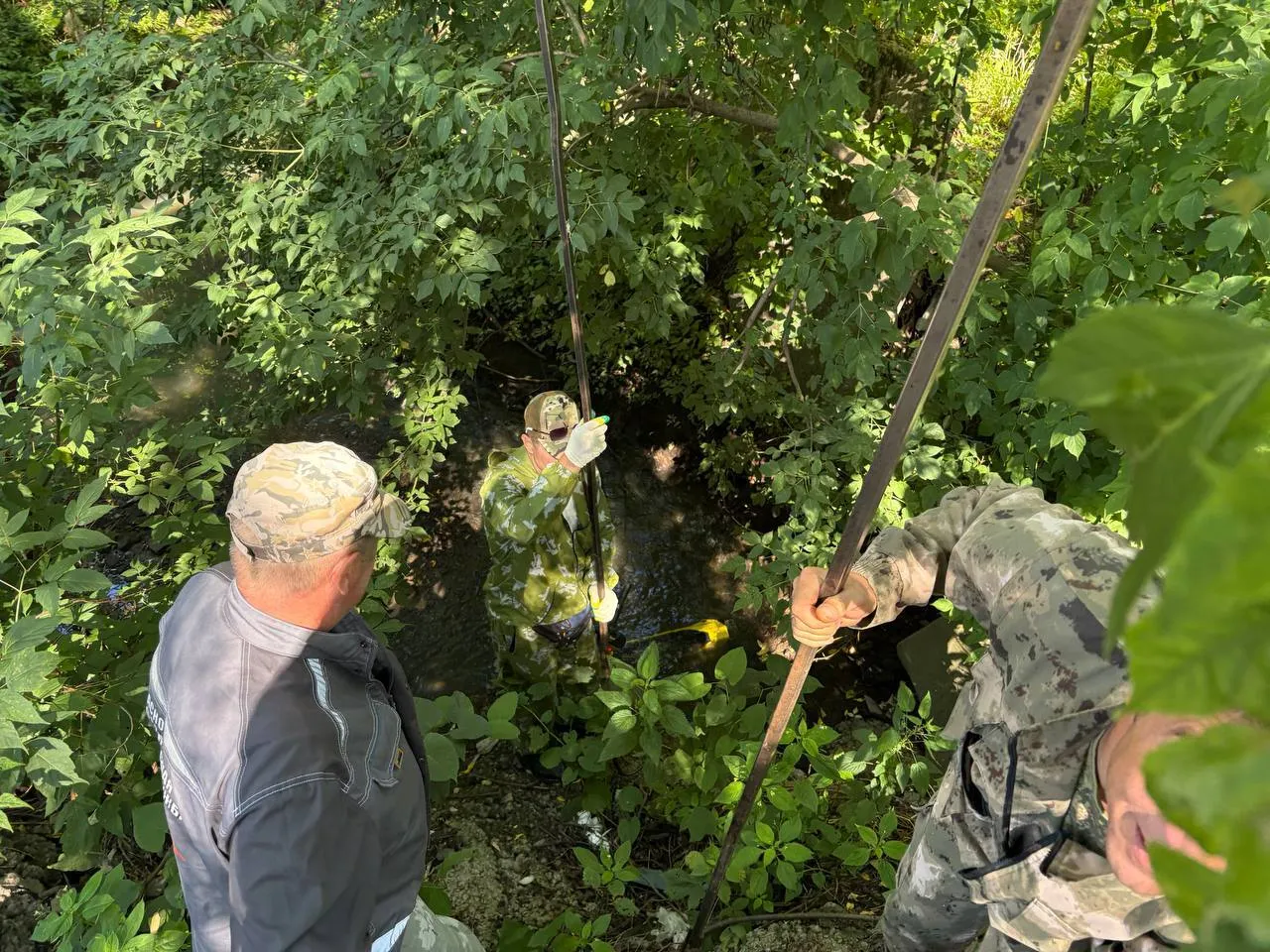 Фото: пресс-служба администрации г.о. Красногорск