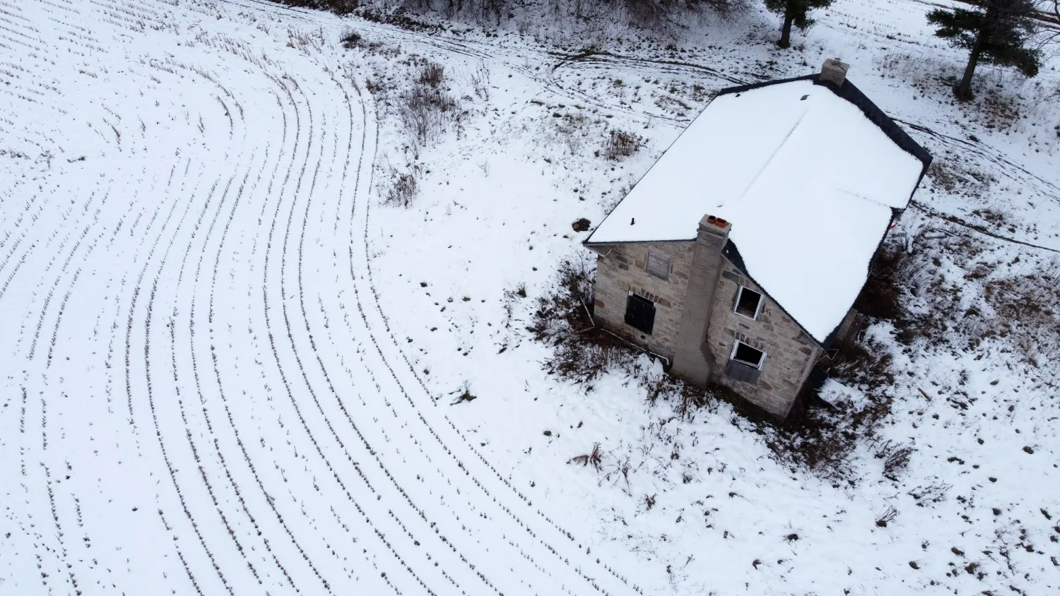 Фото: freepik.com