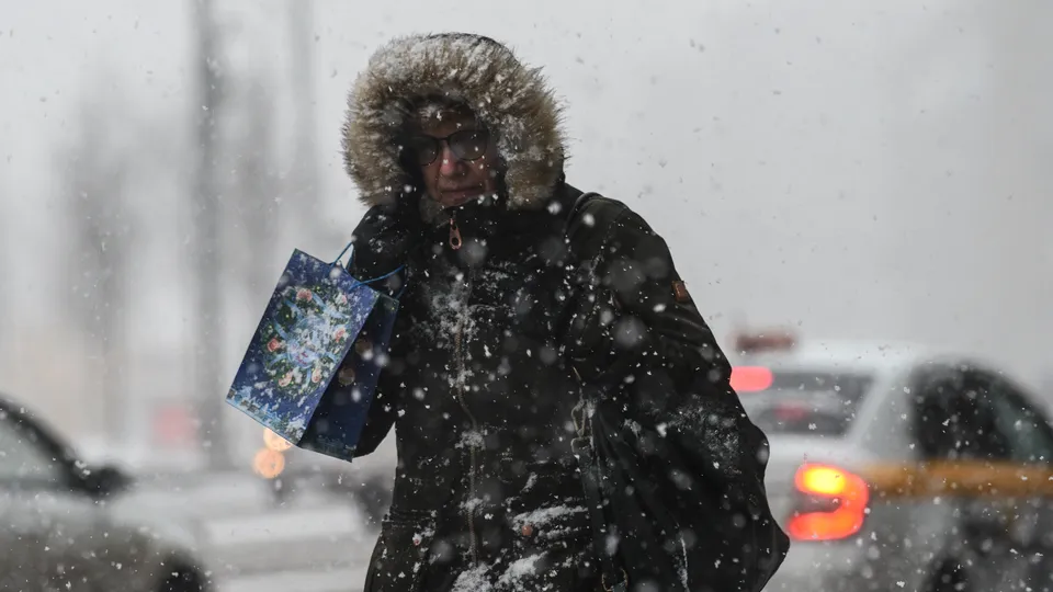 Фото: медиасток.рф