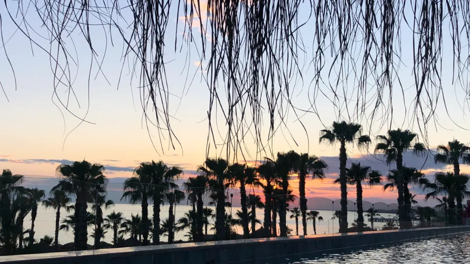 Фото: Дарья Назарова