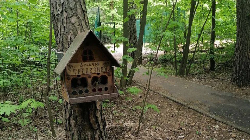 Фото: МЦУР Жуковский