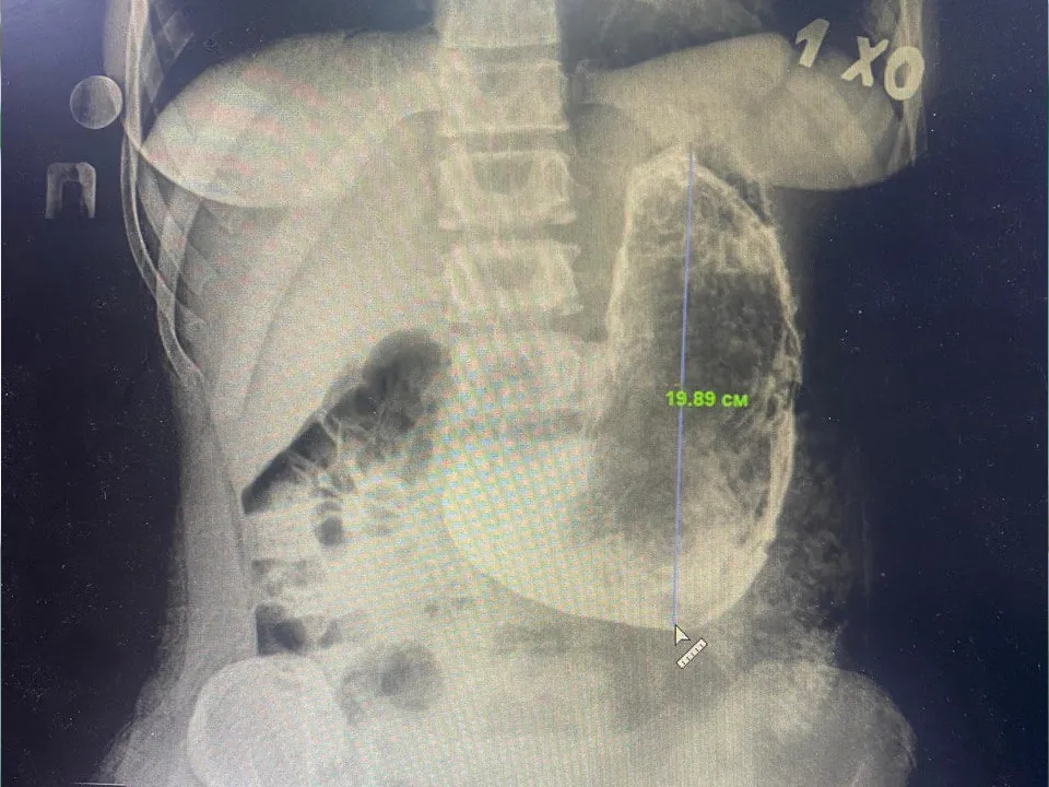 Фото: Министерство здравоохранения Московской области