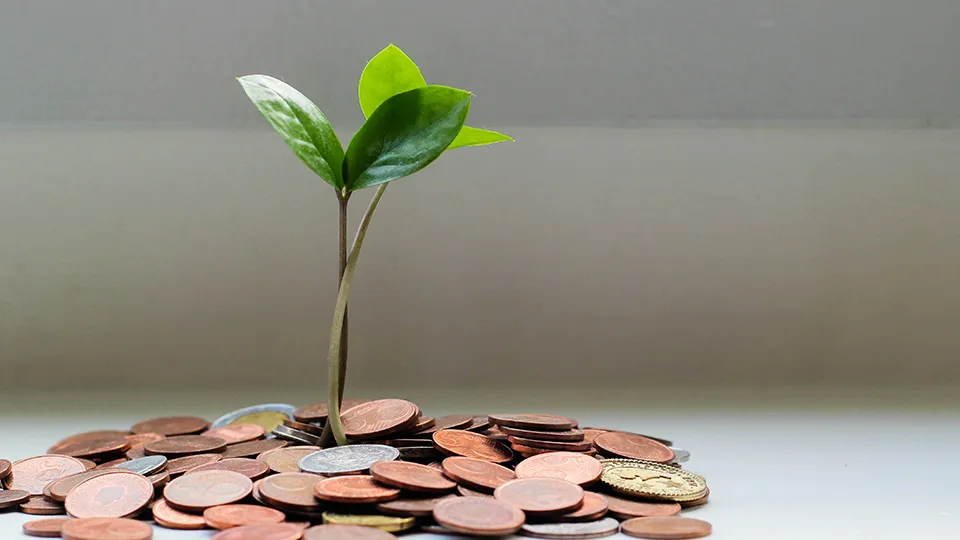 Фото: unsplash.com