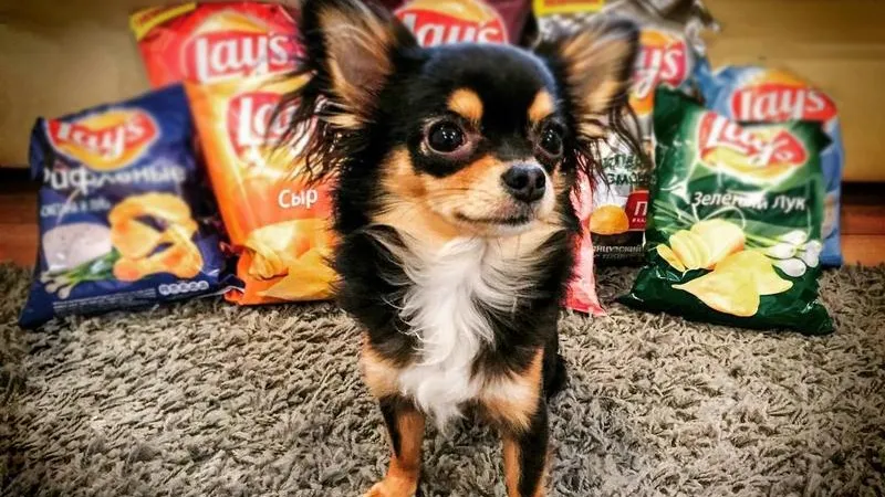 buzovaxs/instagram.com