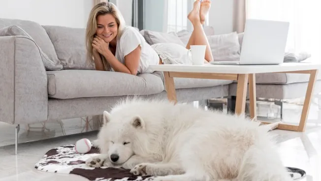 Фото: ru.freepik.com