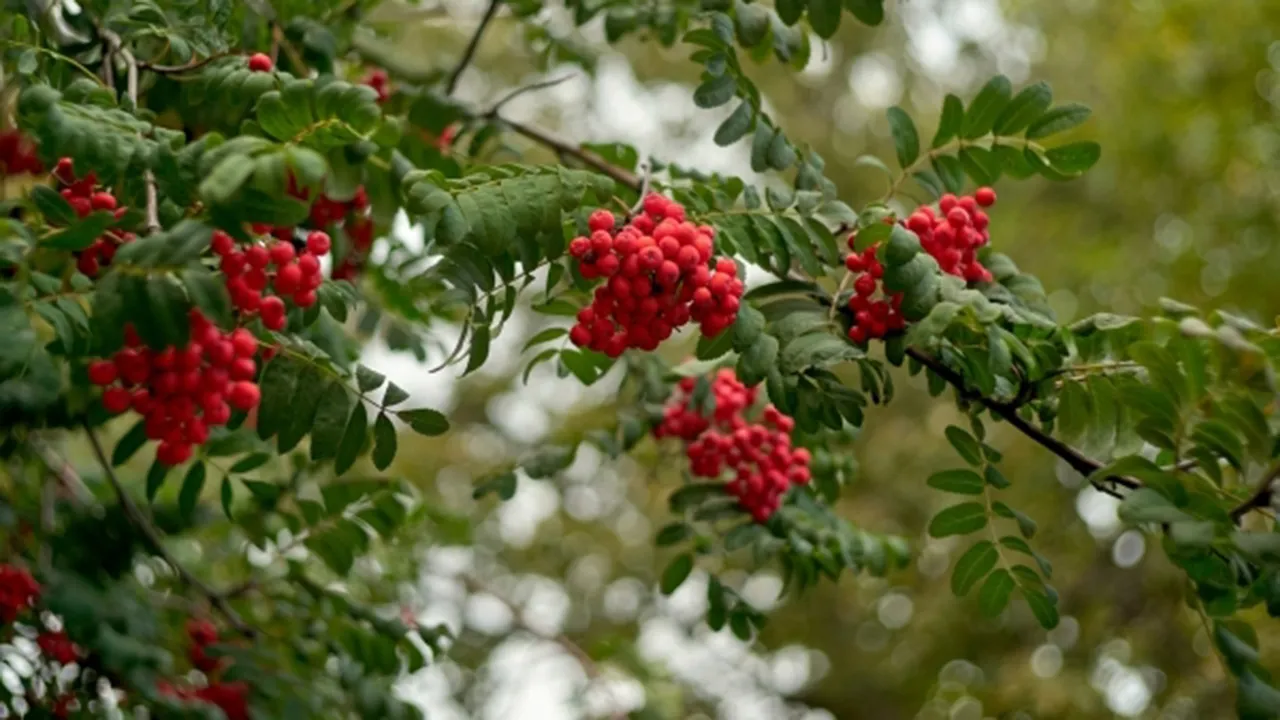 Фото: РИА Новости/Алексей Даничев