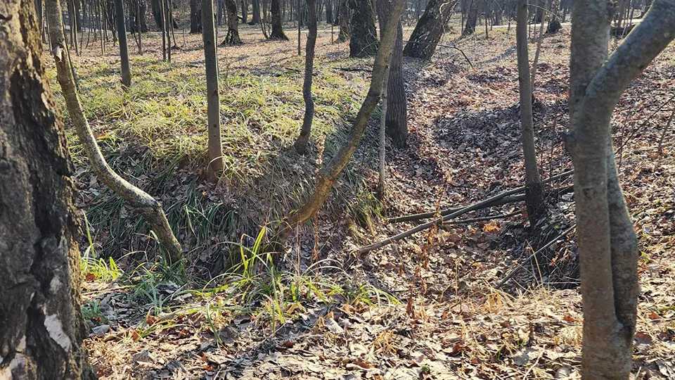 Фото: Андрей Семибратов