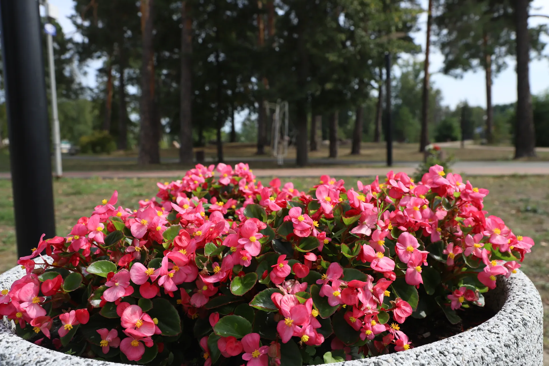 Фото: REGIONS/Оксана Лапшина