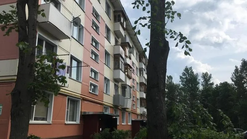 Пресс-служба Дмитрия Пестова