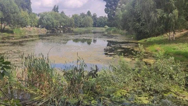 Водоемы общей площадью 60 га расчистили в Подмосковье по программе губернатора