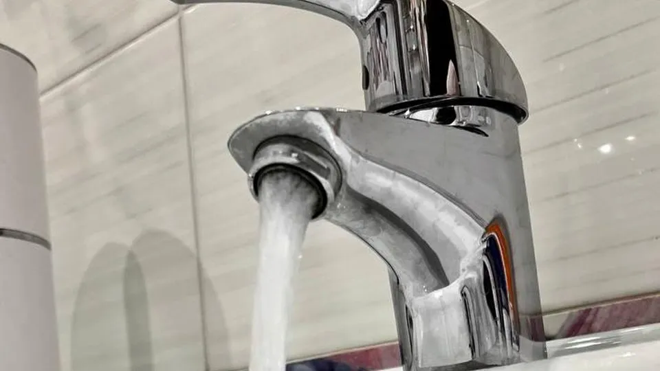 Фото: пресс-служба Министерства чистых дел Подмосковья