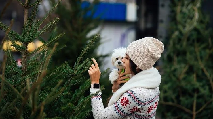 медиасток.рф