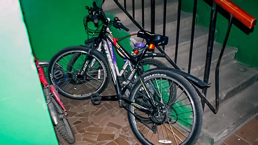 Фото mytyshi.ru.