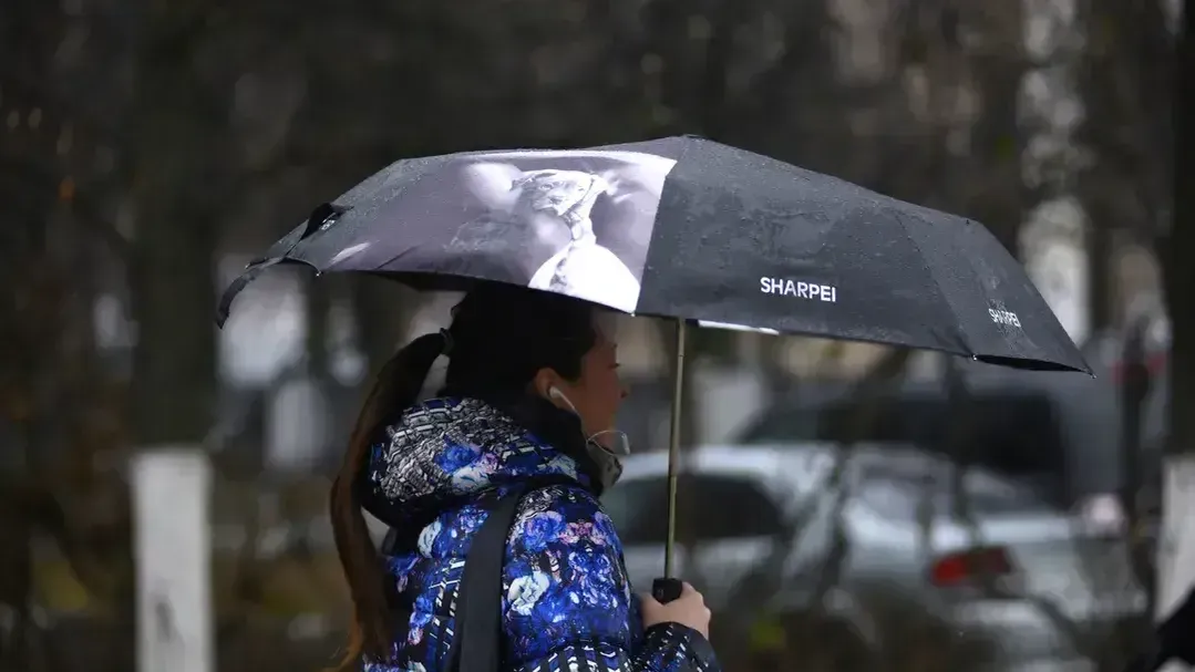 медиасток.рф