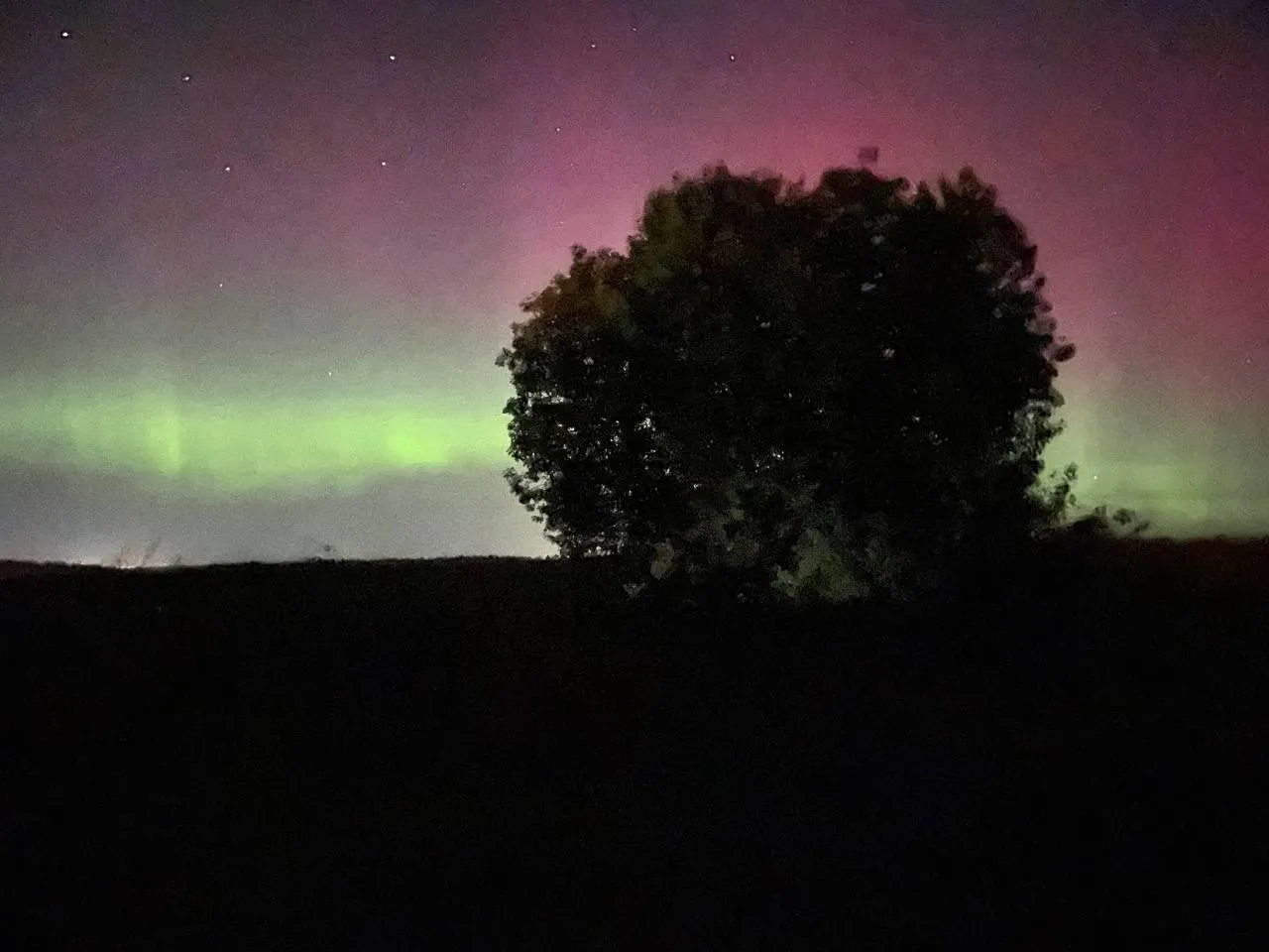 Дарья Леонова