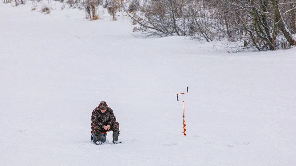 Фото: медиасток.рф