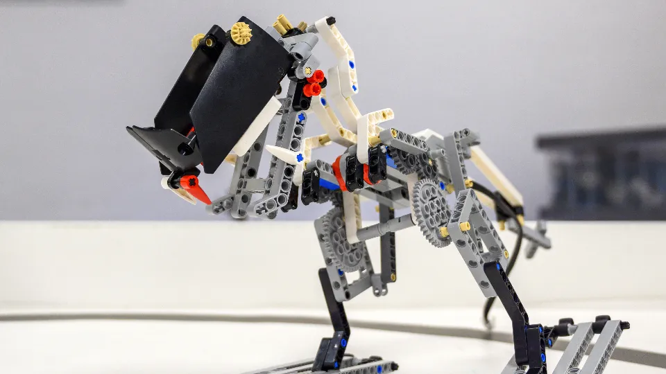 Фото: медиасток.рф