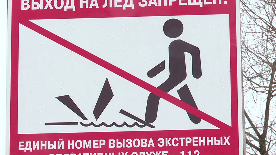 Фото: МедиаБанк Подмосковья/Ксения Казакова