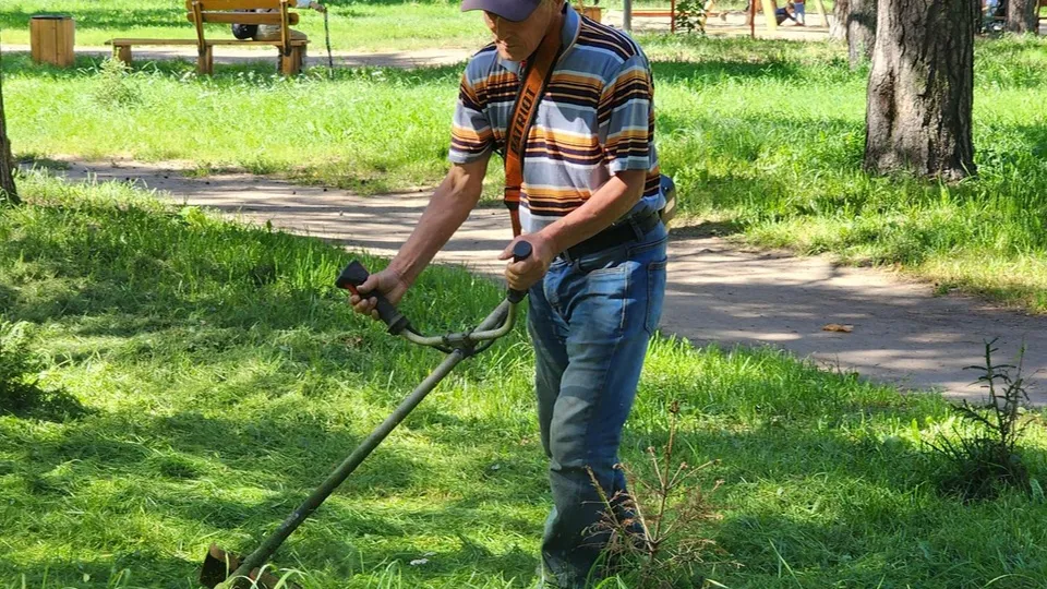 Фото: Ольга Фельдфебелева