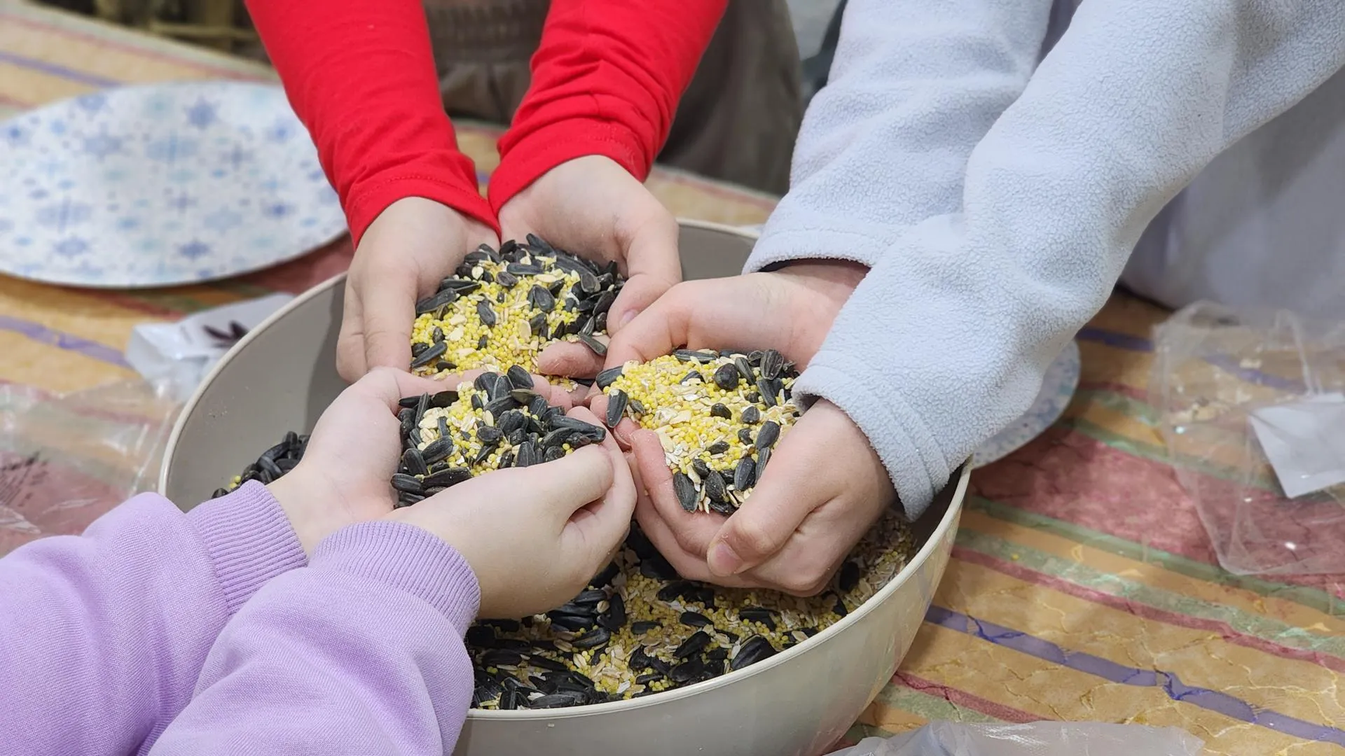 МедиаБанк Подмосковья/Валерия Тингаева