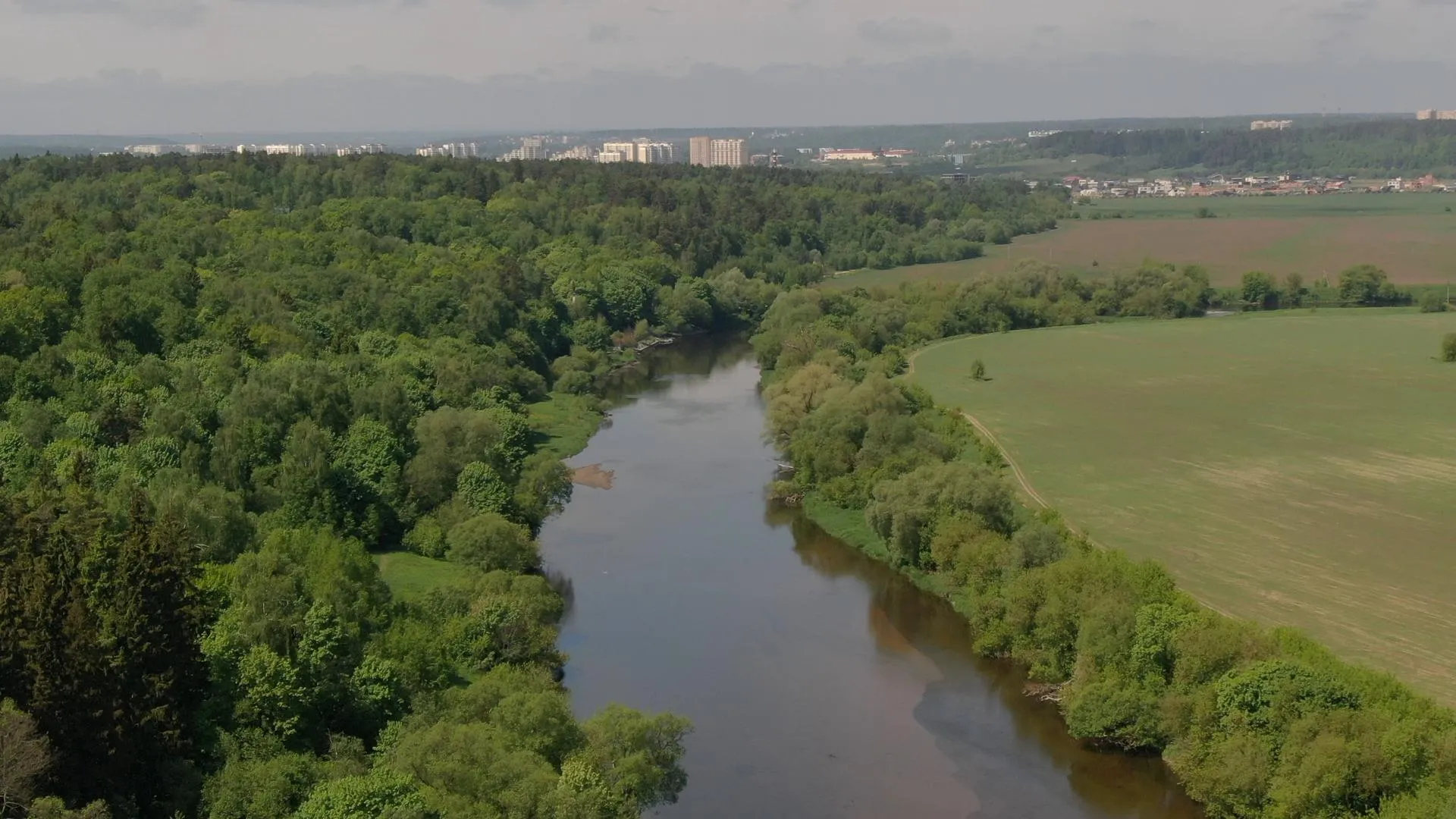 Дарья Московцева