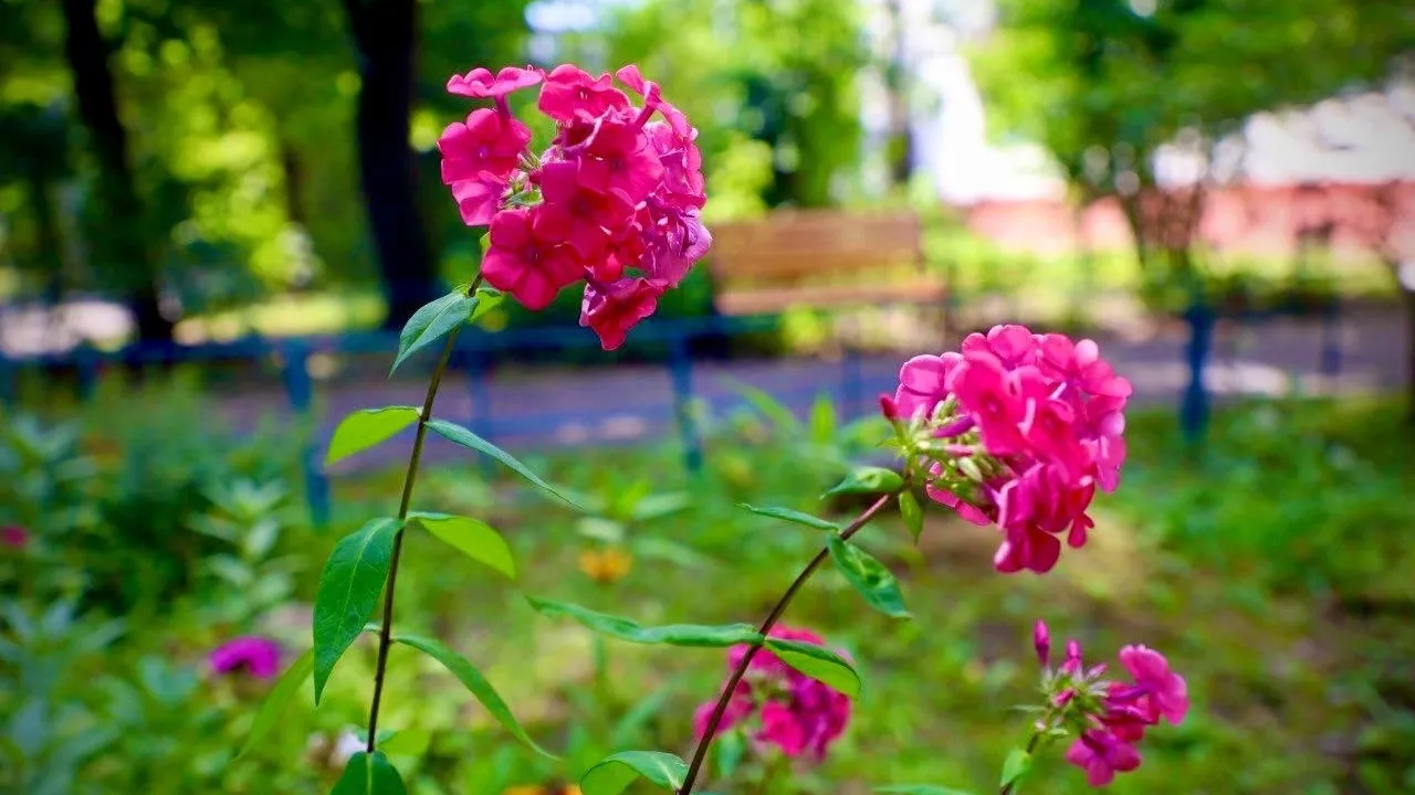 Фото: пресс-служба Администрации г.о. Серпухов