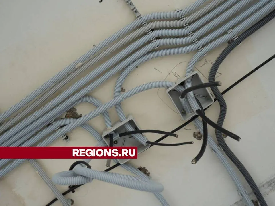 Фото: Дмитрий Зайчиков