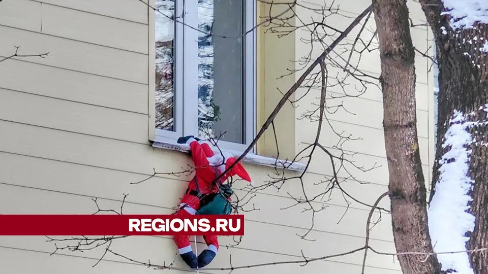 Фото: t.me/zvenigorod_zdraste