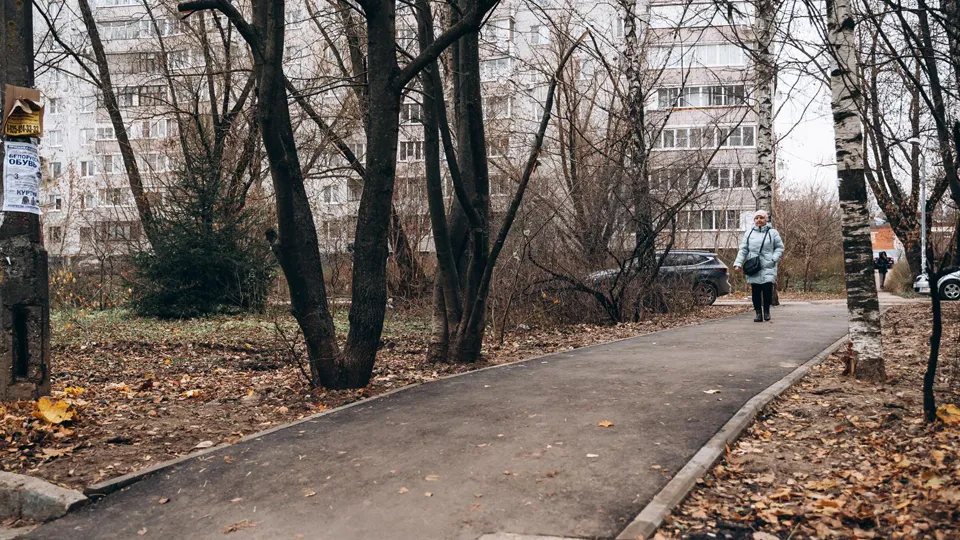 Фото: пресс-служба администрации г.о. Щелково