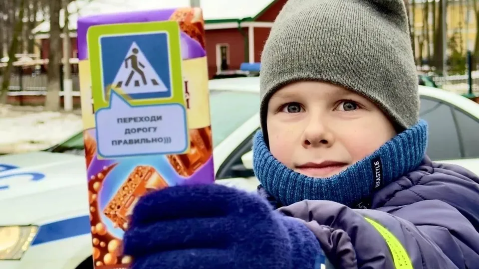 Фото: пресс-служба Управления ГИБДД по Московской области