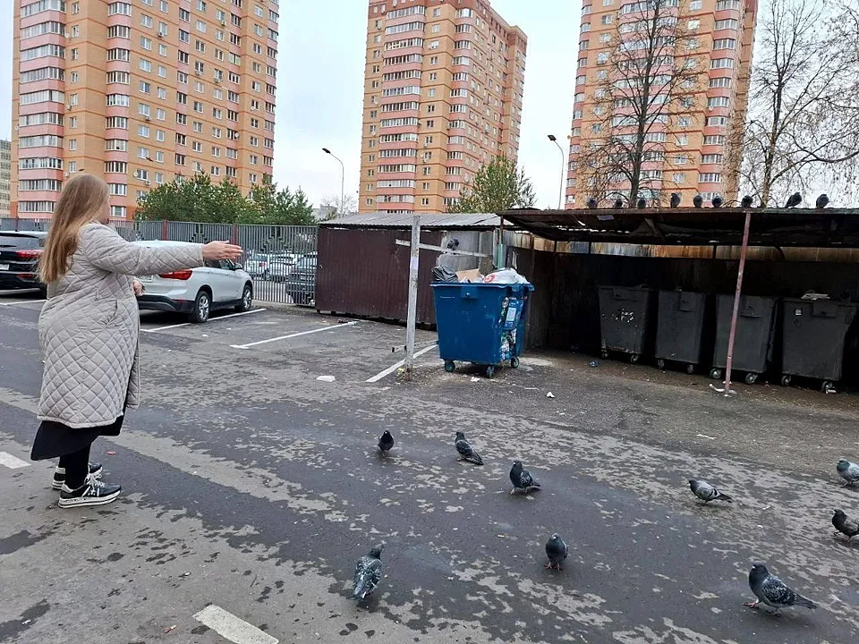 Фото: Администрация г.о. Чехов