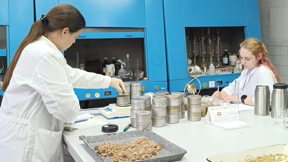 Фото: МедиаБанк Подмосковья/Екатерина Федосеева