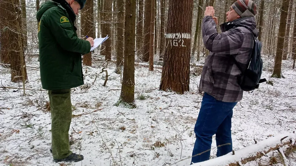 Фото: Комитет лесного хозяйства МО