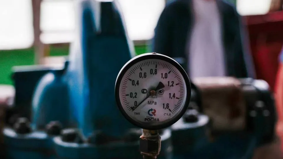 Фото: пресс-служба Администрации городского округа Мытищи