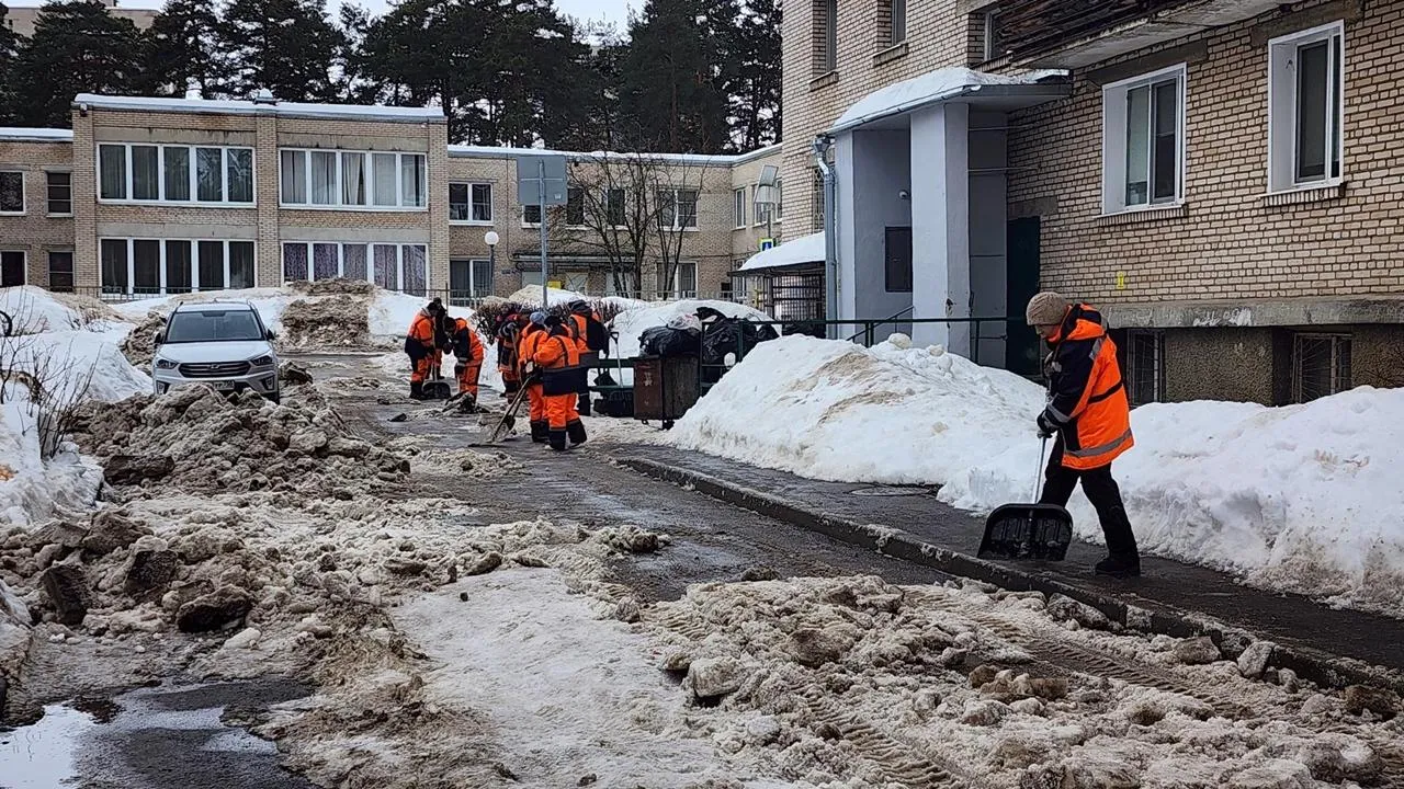 REGIONS/Анна Мороз