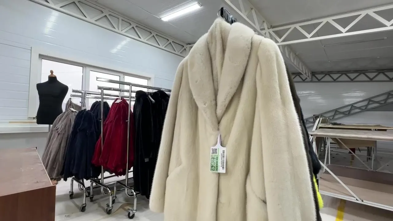 МедиаБанк Подмосковья/Ксения Казакова