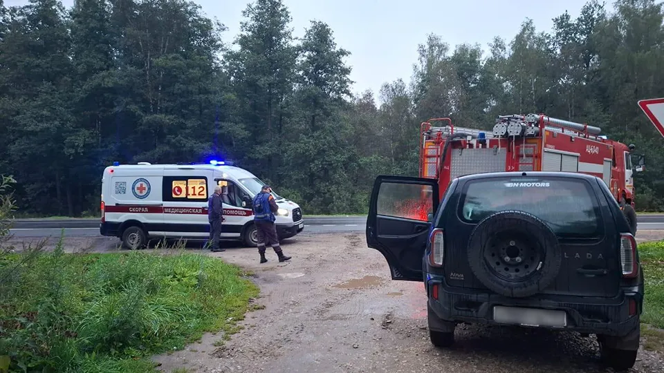 Фото: Комитет лесного хозяйства Московской области
