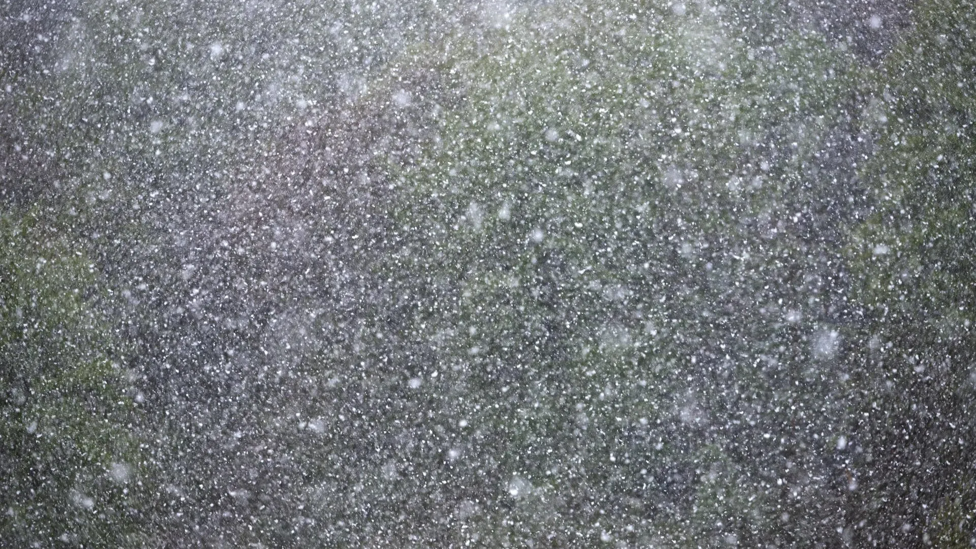 Фото: unsplash.com