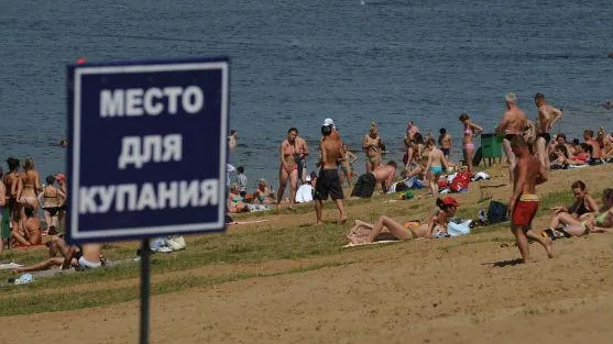 По 77 маршрутам можно добраться до пляжей в Подмосковье