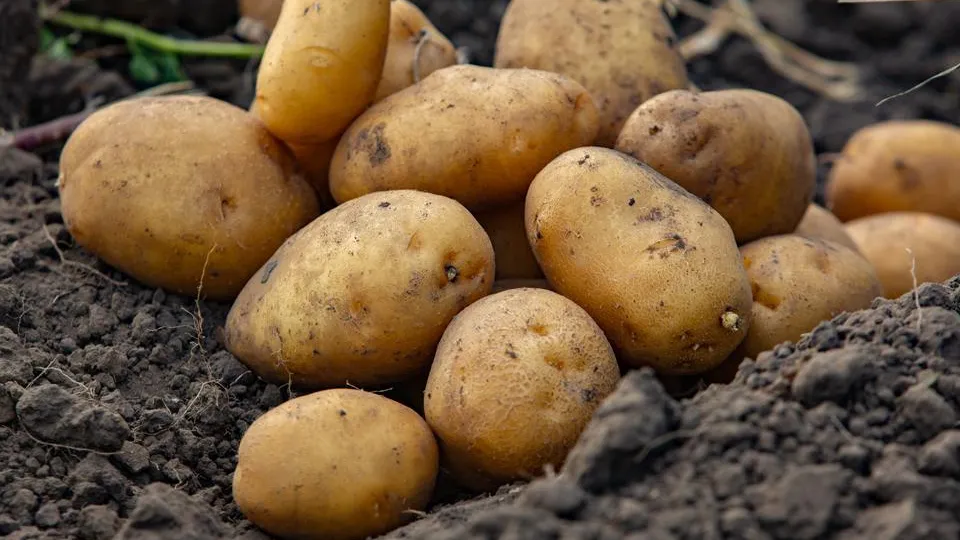 Фото: istockphoto.com