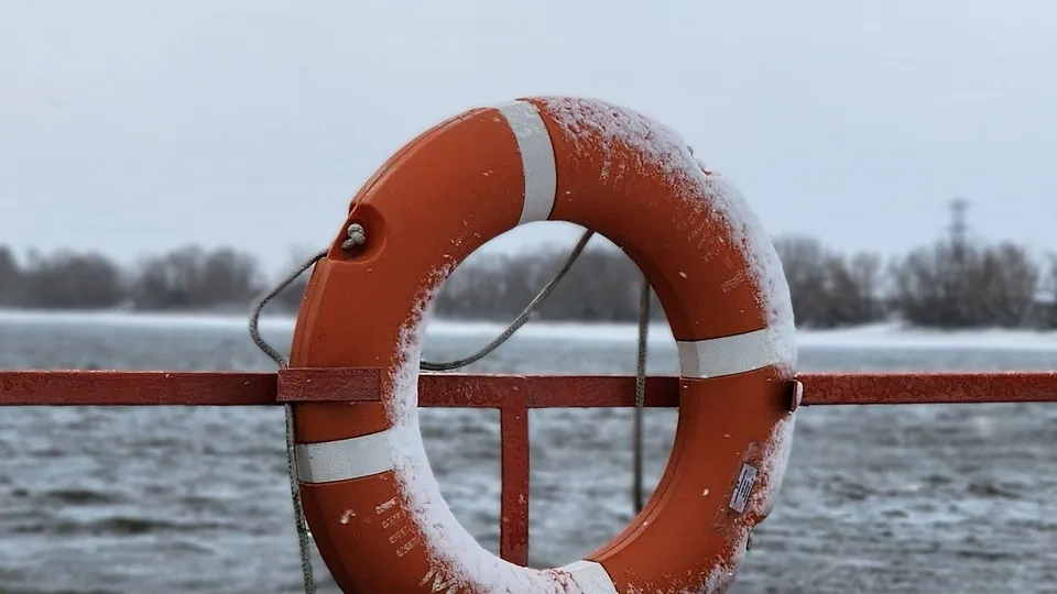 Фото: МедиаБанк Подмосковья/Анна Шолохова