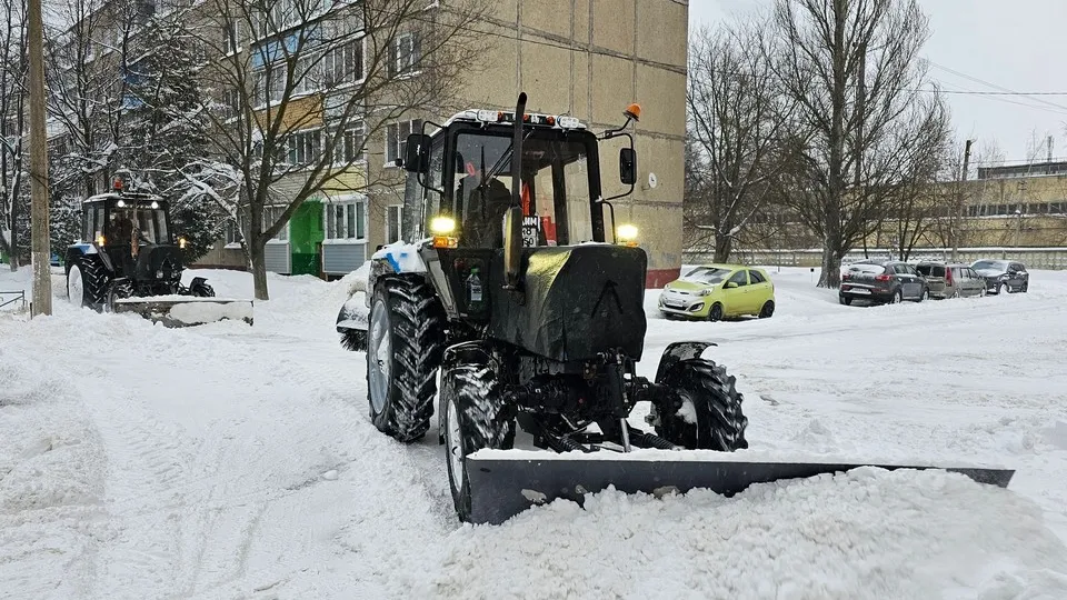 Фото: пресс-служба администрации городского округа Луховицы