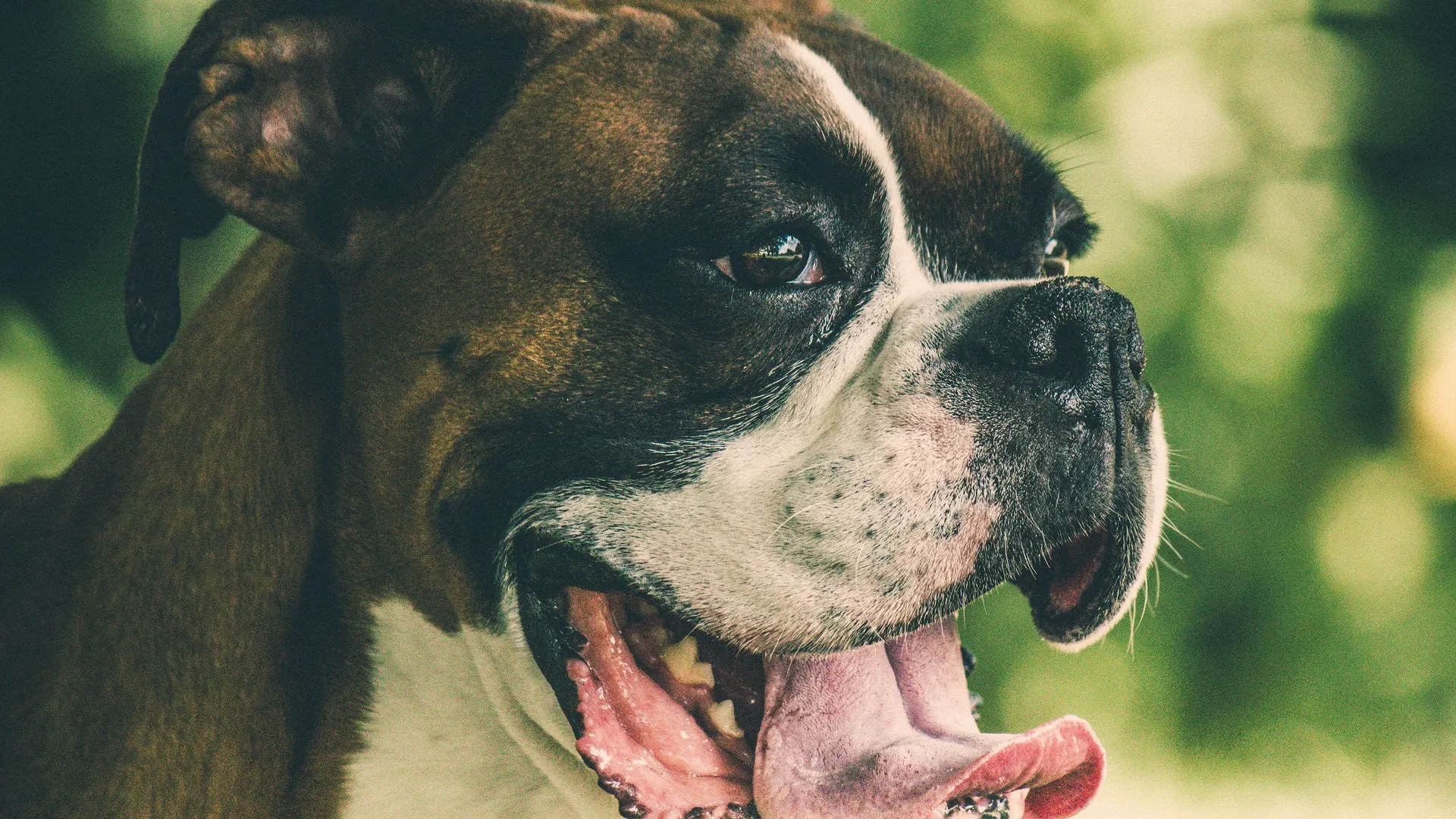 Фото: unsplash.com