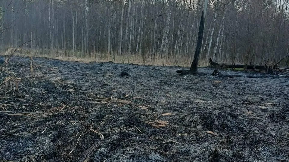 Пресс-служба Комлесхоза Подмосковья