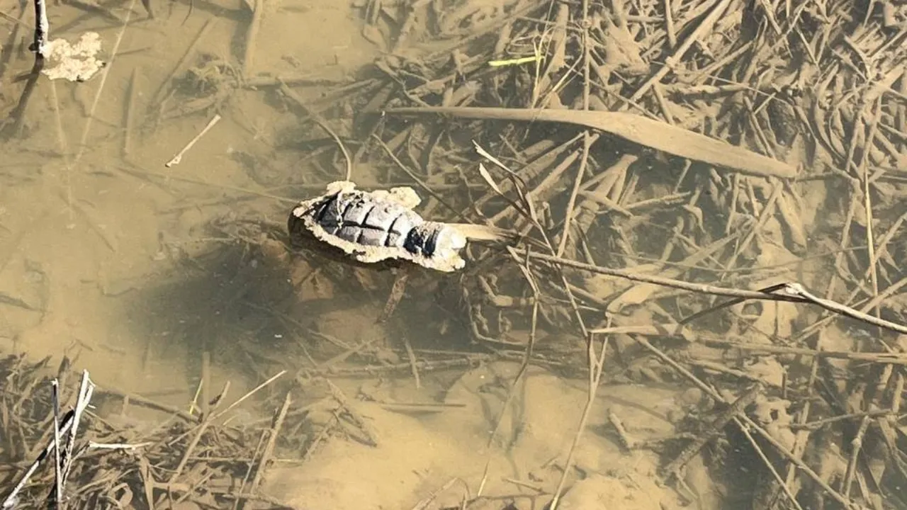 Виолетта Григорьева