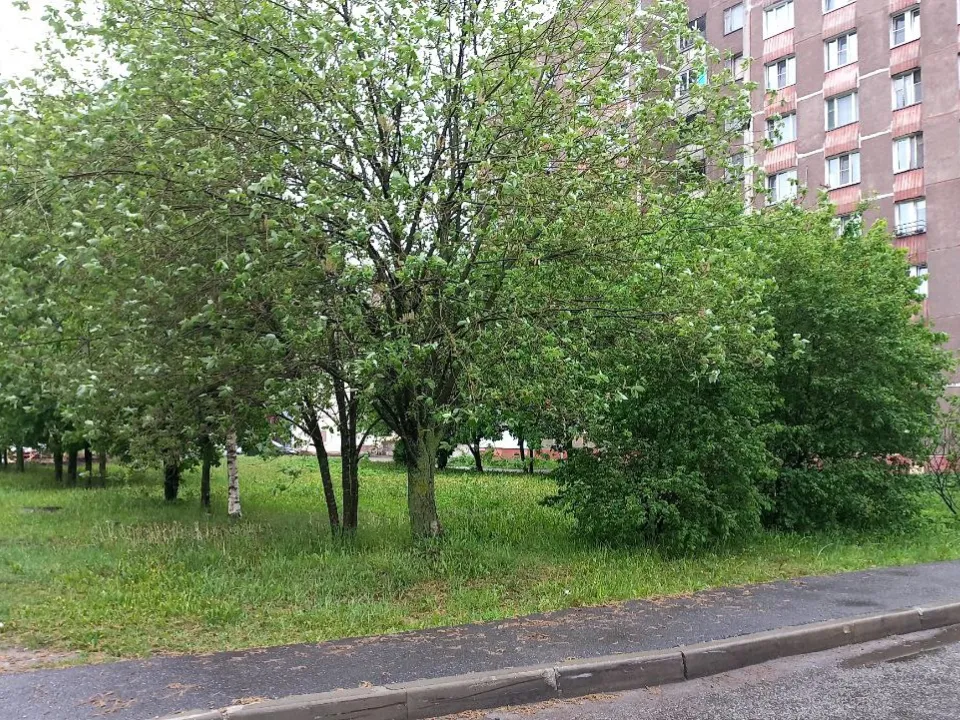 Сквер на проспекте Ленина. занявший второе место в голосовании.&nbsp;Фото: REGIONS/Олег Книжник