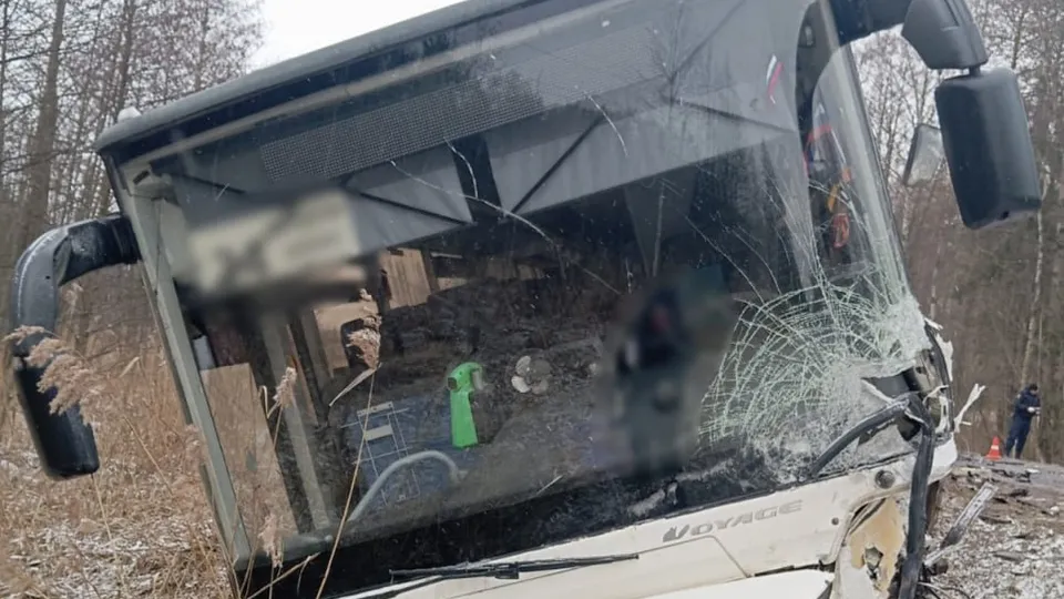 Фото: Управление МВД по Московской области