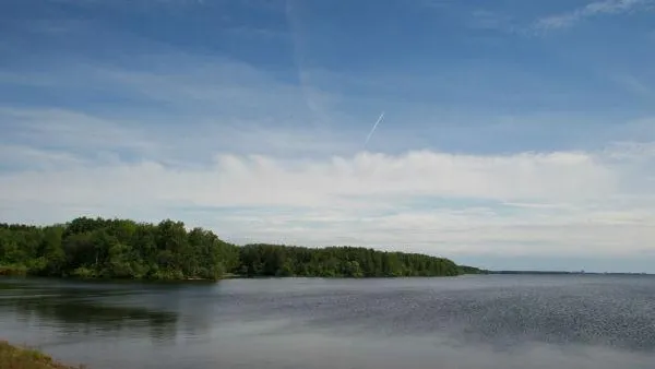 Незаконный пирс обнаружили на Можайском водохранилище в МО
