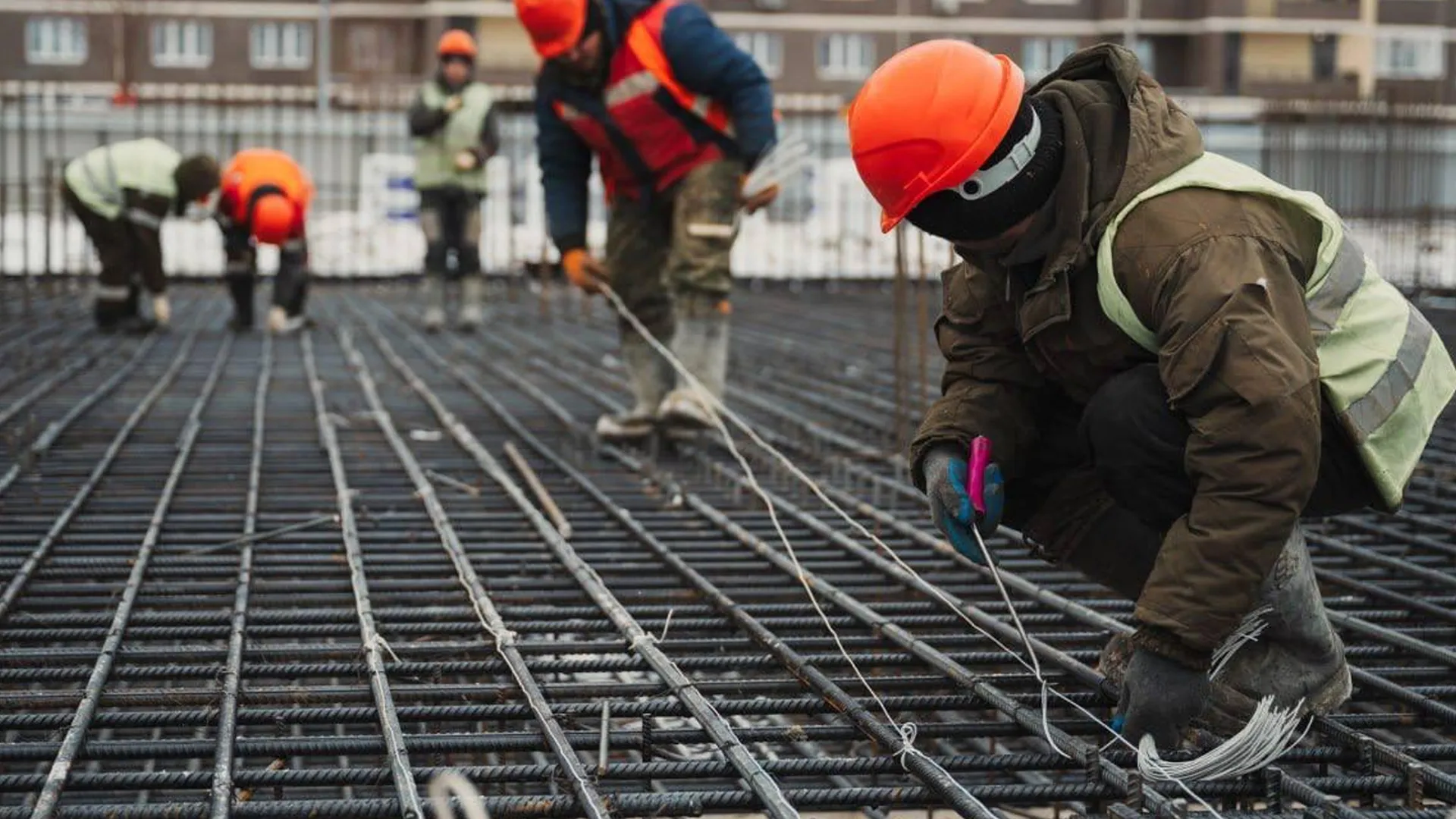 Фото: пресс-служба администрации г. о. Лосино-Петровский